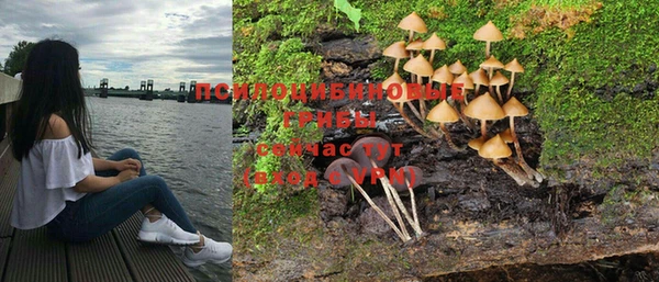 винт Балахна